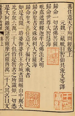 圣善住意天子所问经