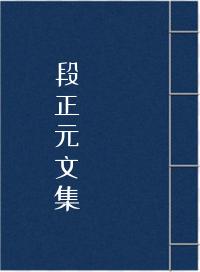 段正元文集