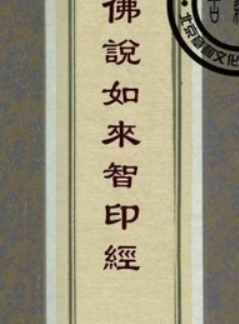 佛说大乘智印经