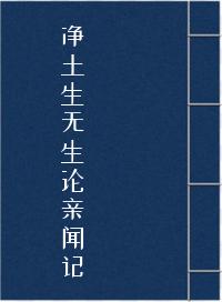 净土生无生论亲闻记