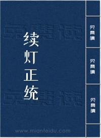 续灯正统
