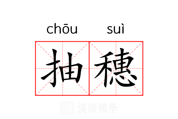 抽穗
