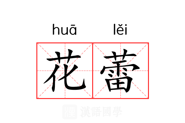 花蕾 花蕾