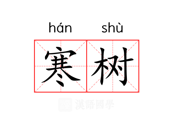 寒树