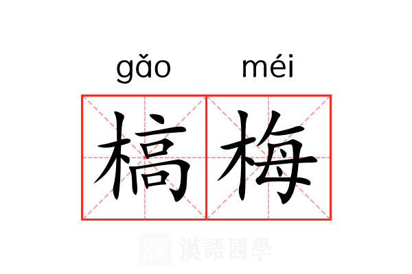 槁梅