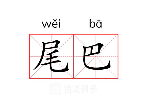 尾巴