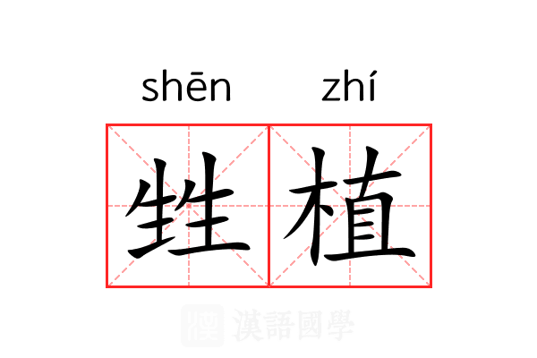 甡植