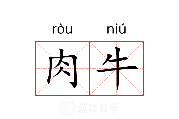 肉牛 肉牛
