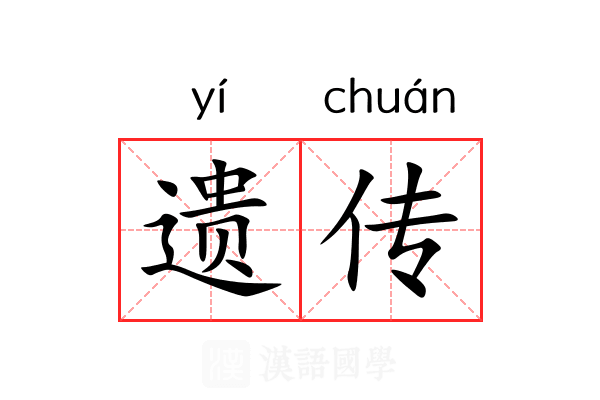 遗传