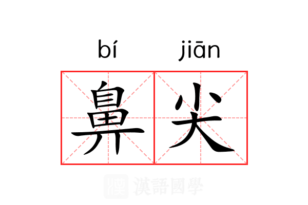 鼻尖