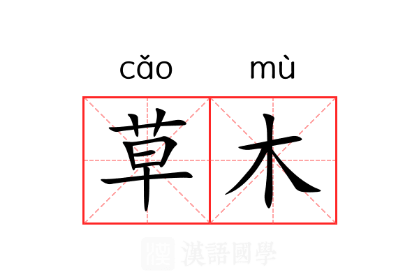 草木 草木