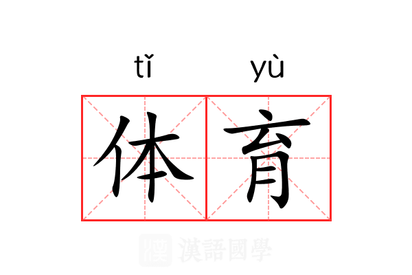 体育