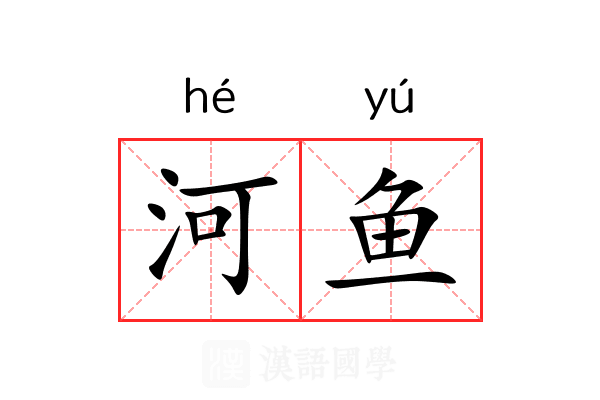 河鱼 河鱼