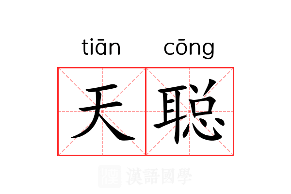 天聪