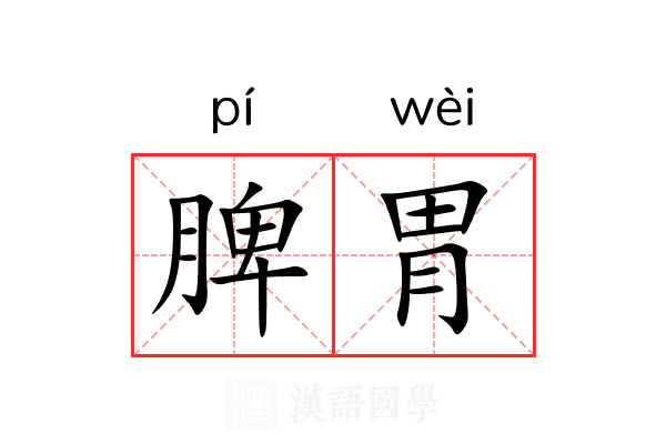 脾胃