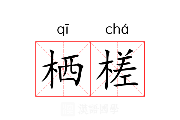 栖槎