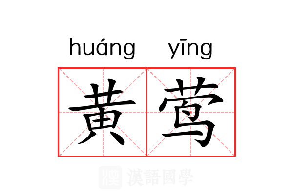 黄莺 黄莺