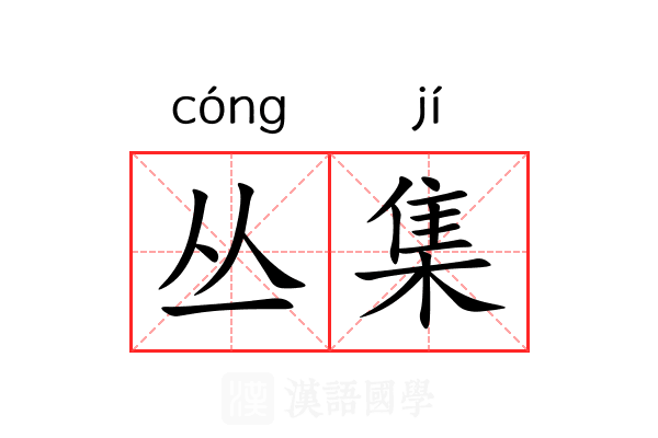 丛集 丛集