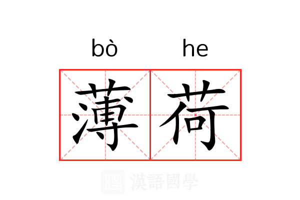 薄荷 薄荷