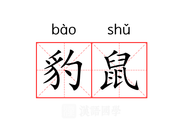 豹鼠 豹鼠