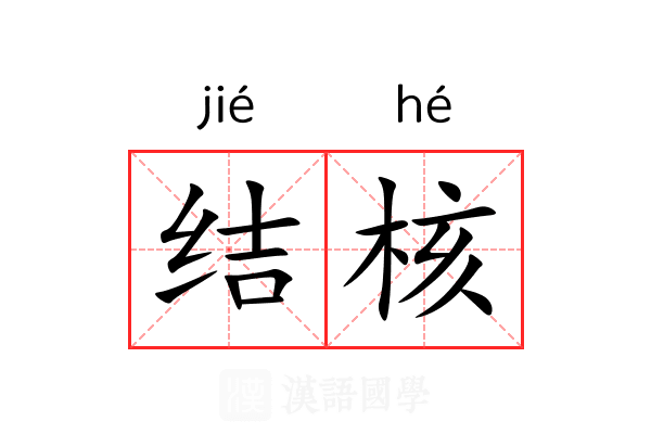 结核 结核