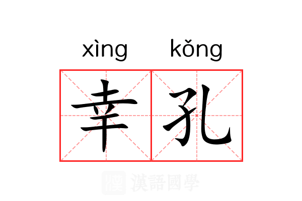 幸孔 幸孔