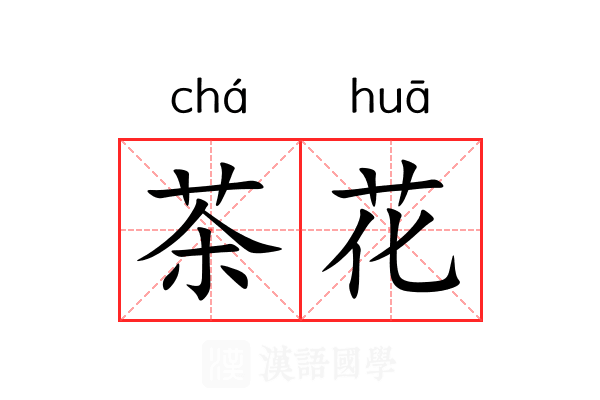 茶花 茶花