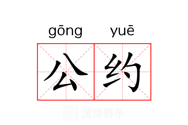 公约 公约