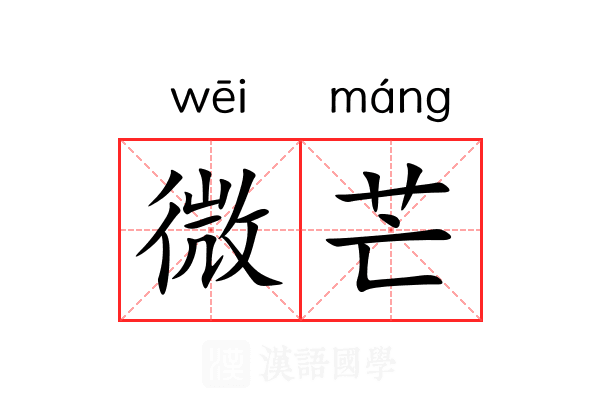 微芒 微芒