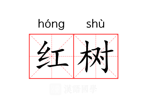 红树 红树