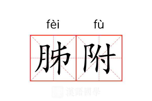 胏附 胏附