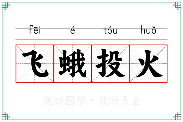 飞蛾投火