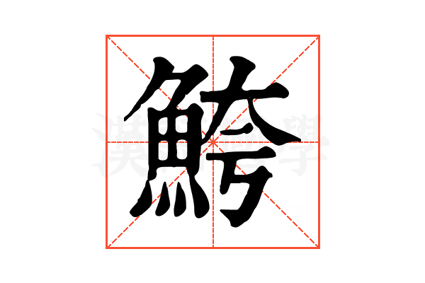 鮬