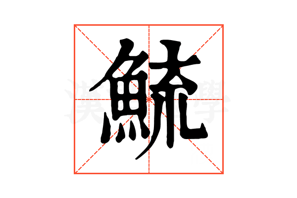鯍