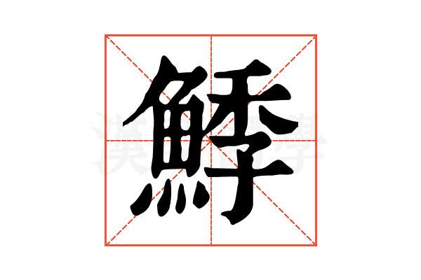 鯚