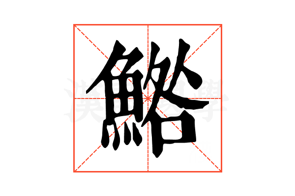 鯦