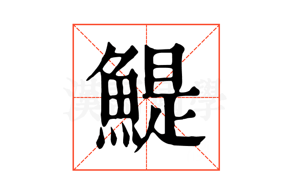 鯷