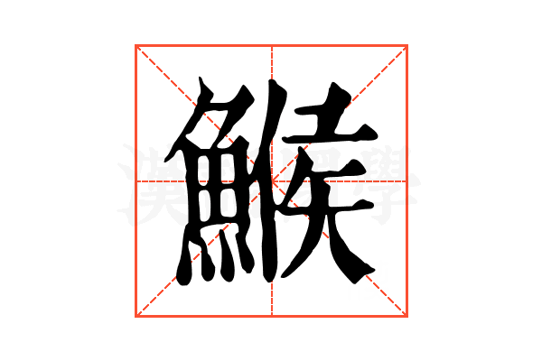鯸