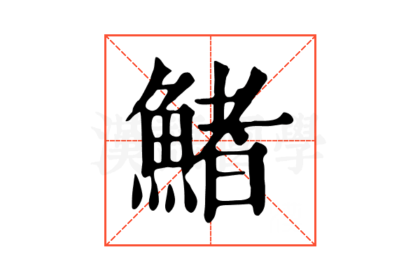 鯺