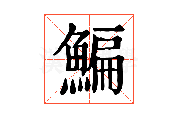 鯿