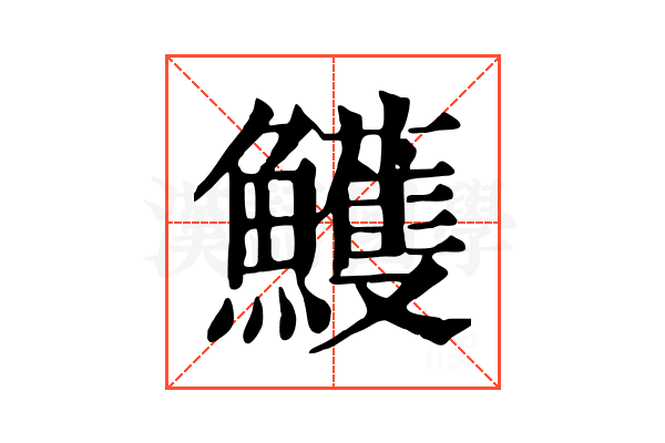 鱯