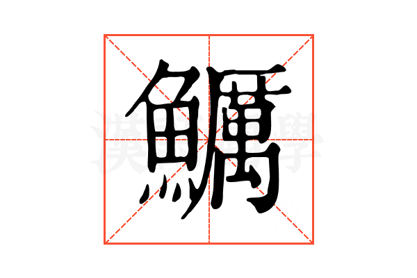 鱱