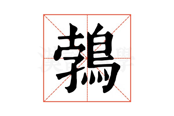 鵓