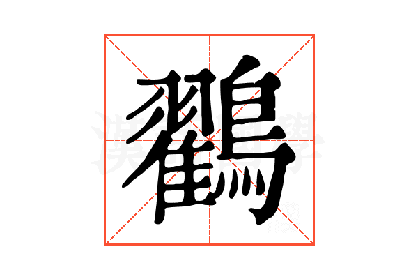 鸐