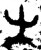 生(金文·西周·西周早期)