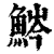 𩷒(印刷字体·清·康熙字典)