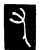 又(传抄·唐·唐代石刻篆文)