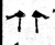 竹(石经·魏·三体石经)