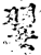 翣(印刷字体·宋·增韵)