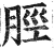 脛(印刷字体·明·洪武正韵)